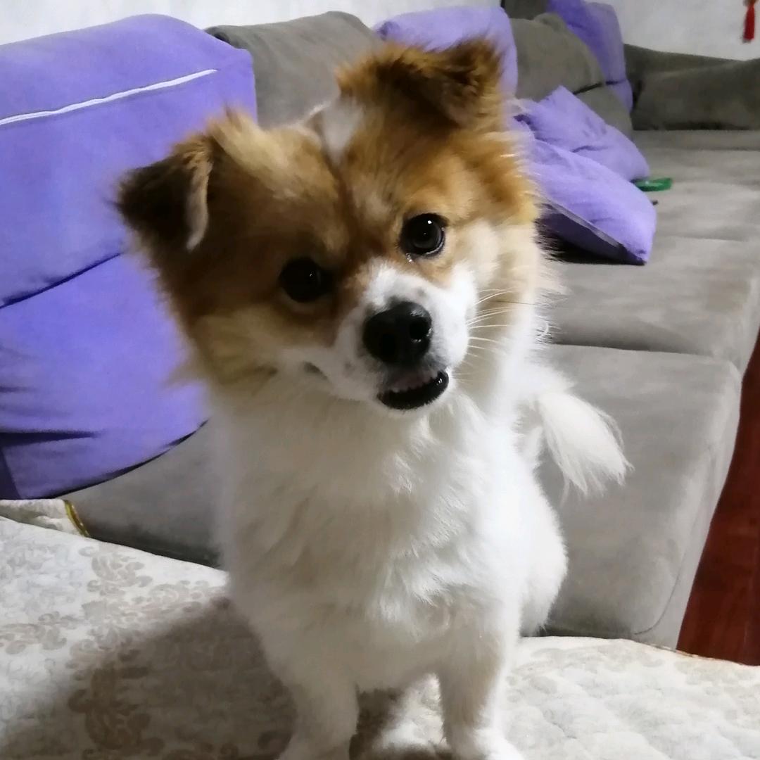 非