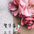 牵着蜗牛散步