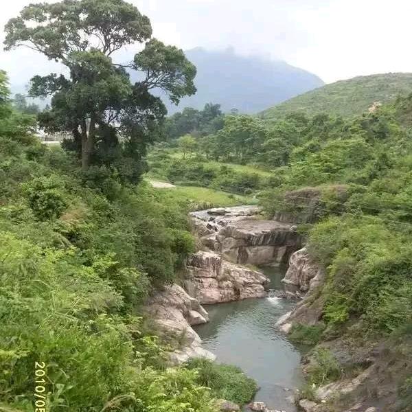 栩能浪浪
