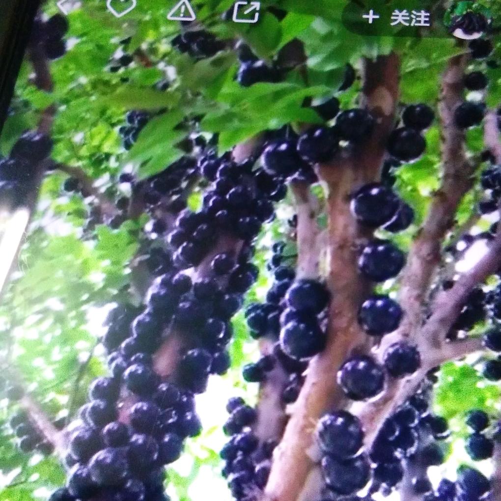 水陆通行