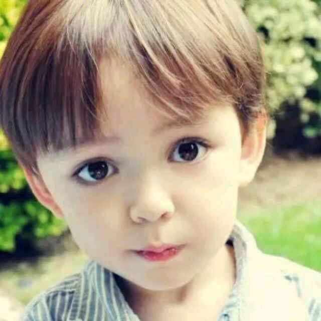 眼镜(海燕守护)