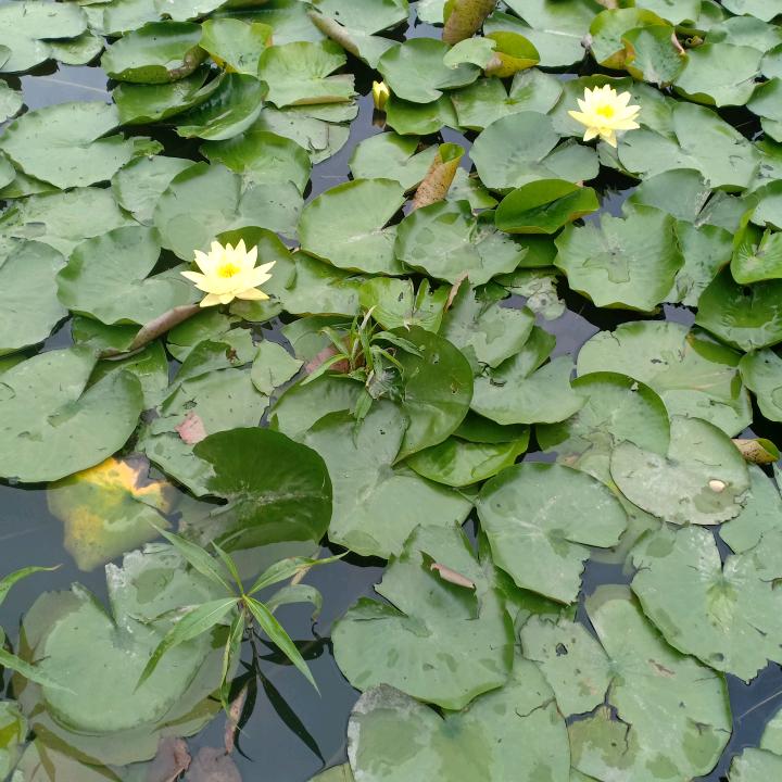 男人的心思女人别猜