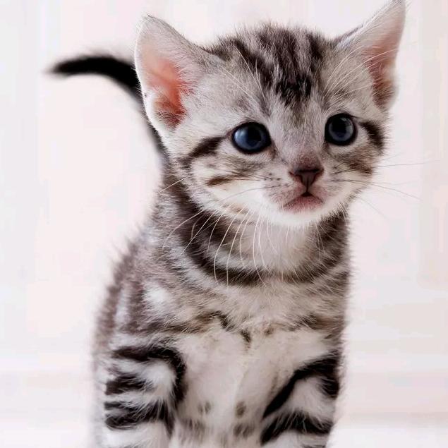 欣兴饭店        孔大官人