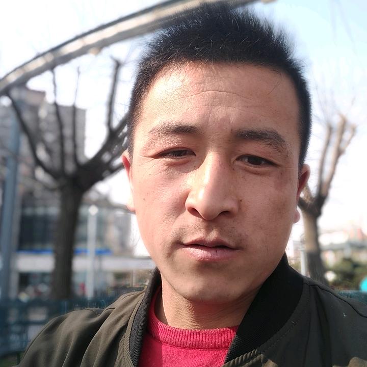 一路杉树