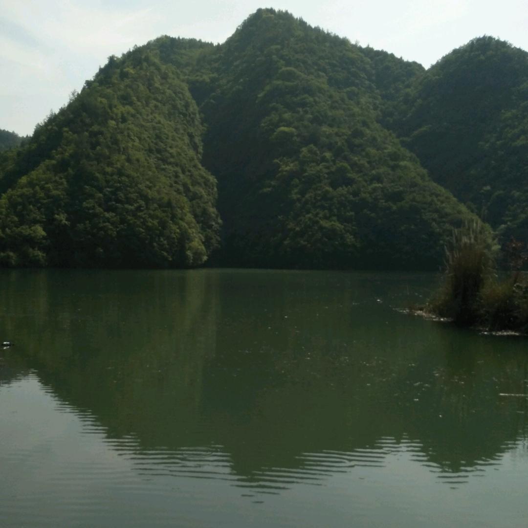 事实证明，我的选择没有错