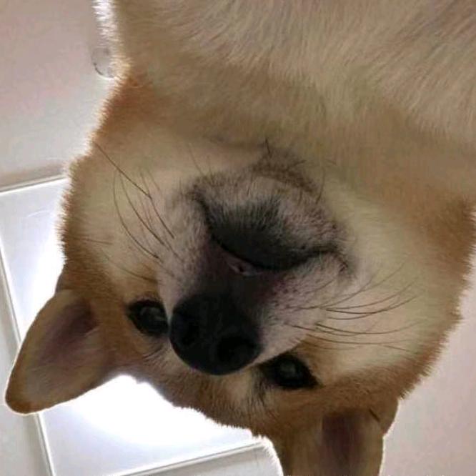 我是金刚腿