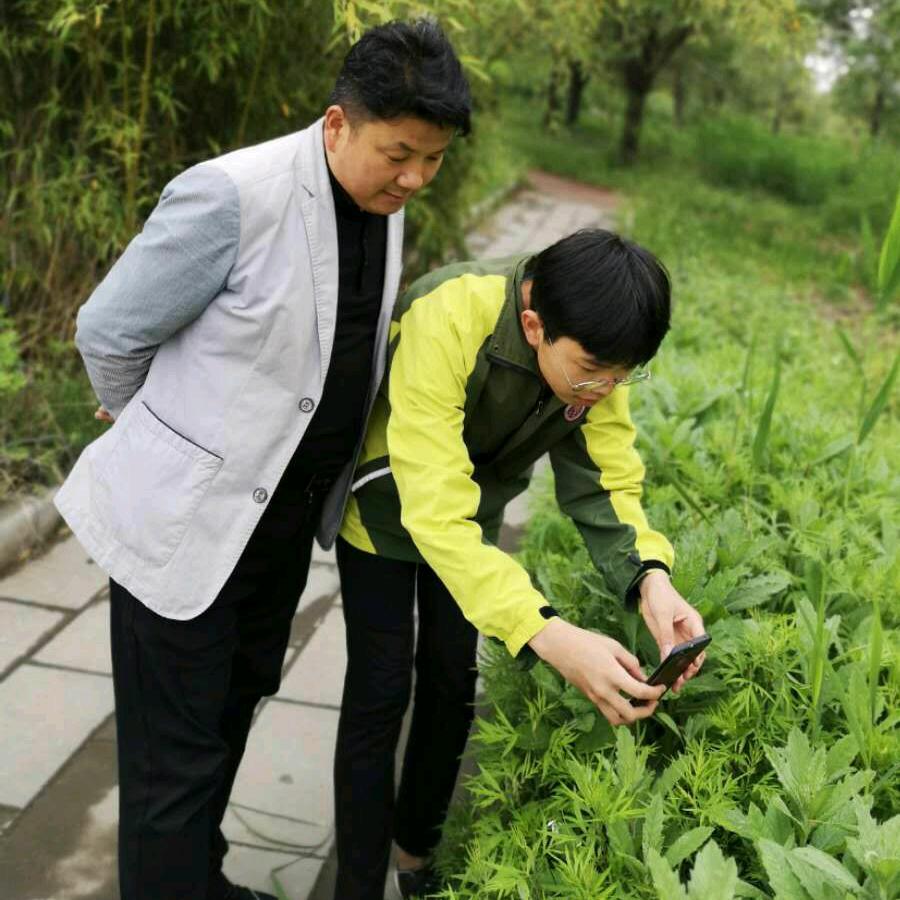 金碧辉煌