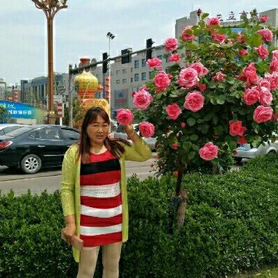 :等你永久爱人
