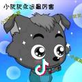 不喝可乐的贝塔