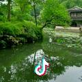 虎宝山