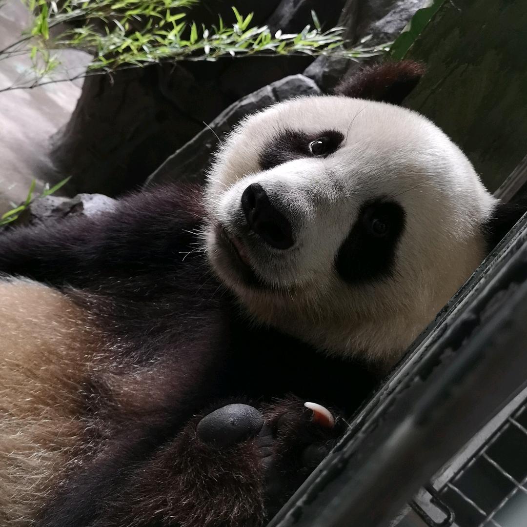 何小和
