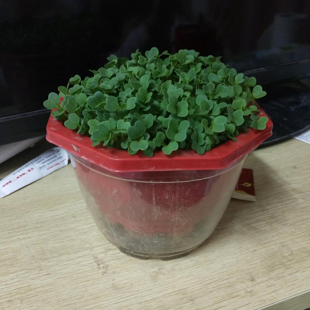 这一站，很幸福！