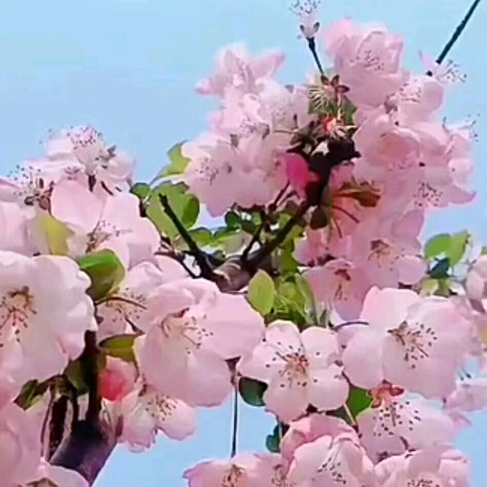 宝应小冀卖房