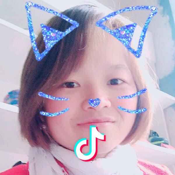 武志凤