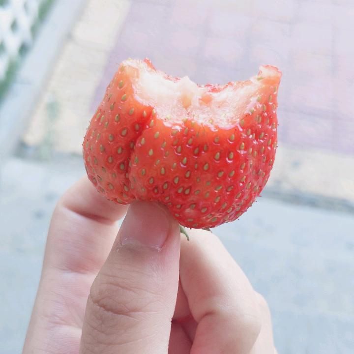 橘子味的路飞👑