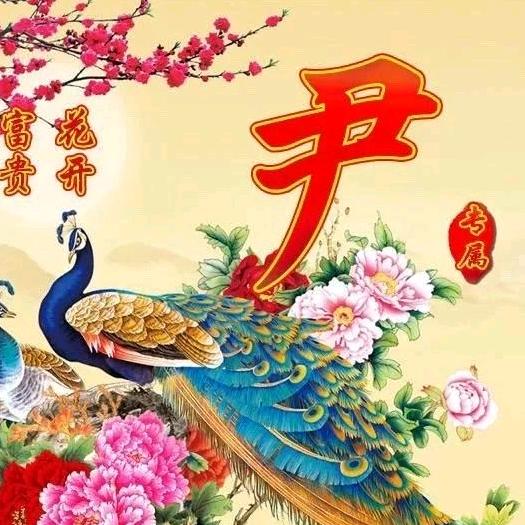 未来日记