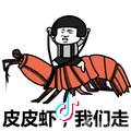 情场失忆😌扛把子