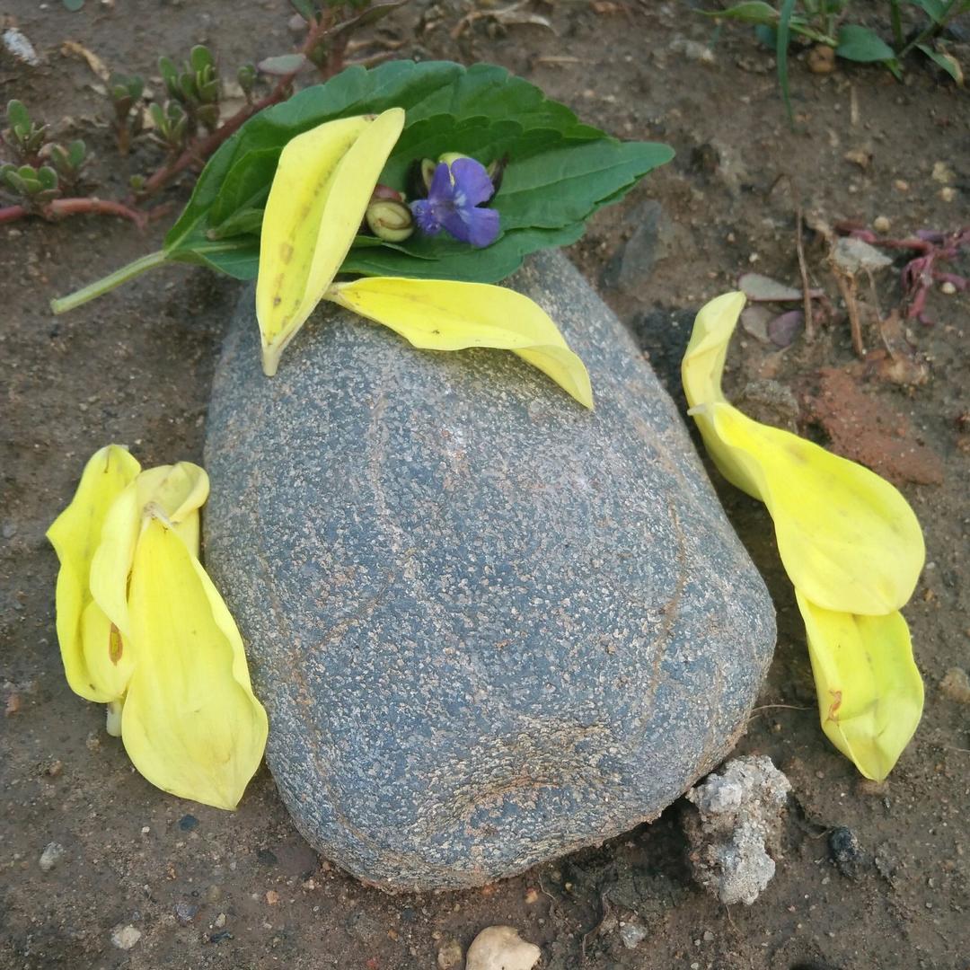 信达图文印刷5饿3