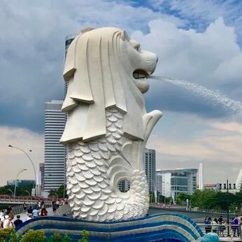 新加坡达哥@抖音