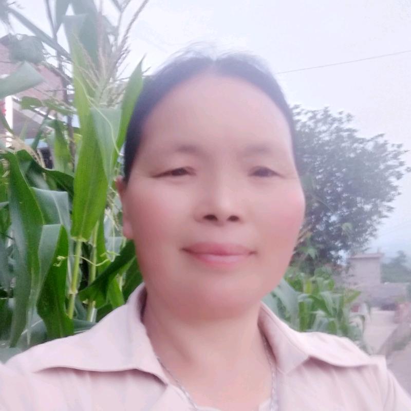 鑫鑫妈妈