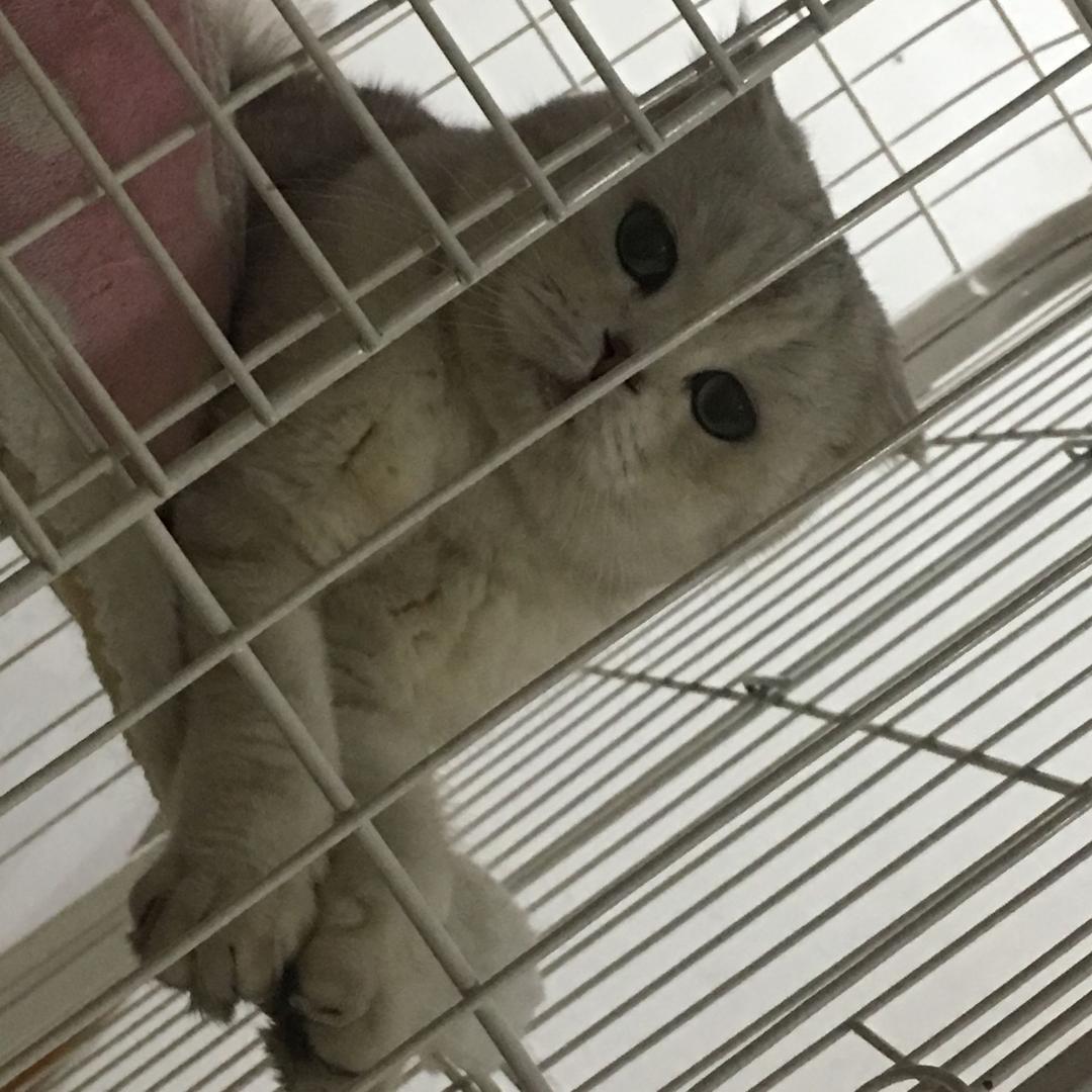 🌺红姐