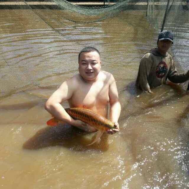 北京杨子鱼乐商贸有限公司