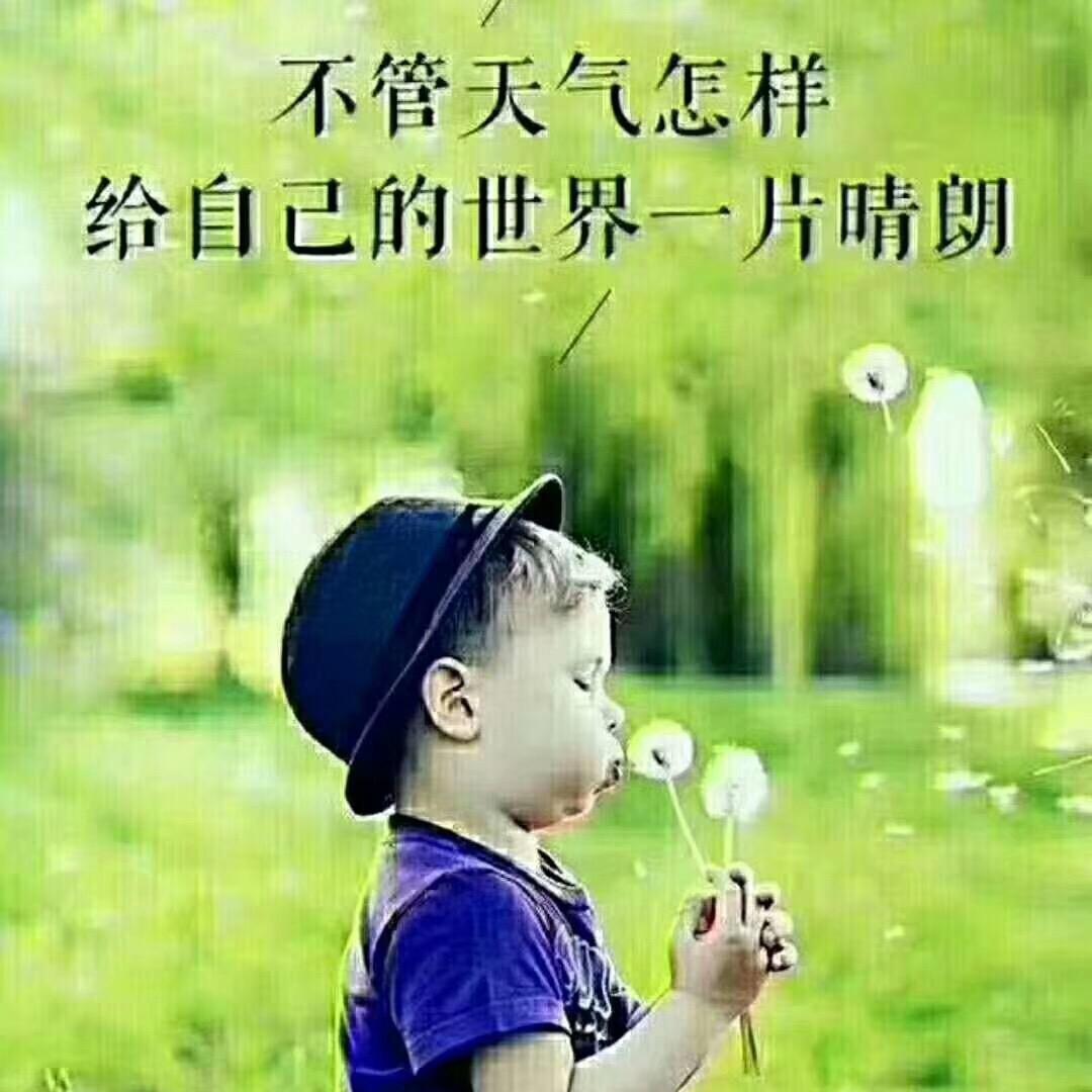 地摊小娘子
