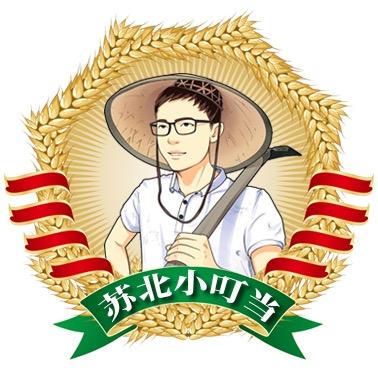 苏北小叮当