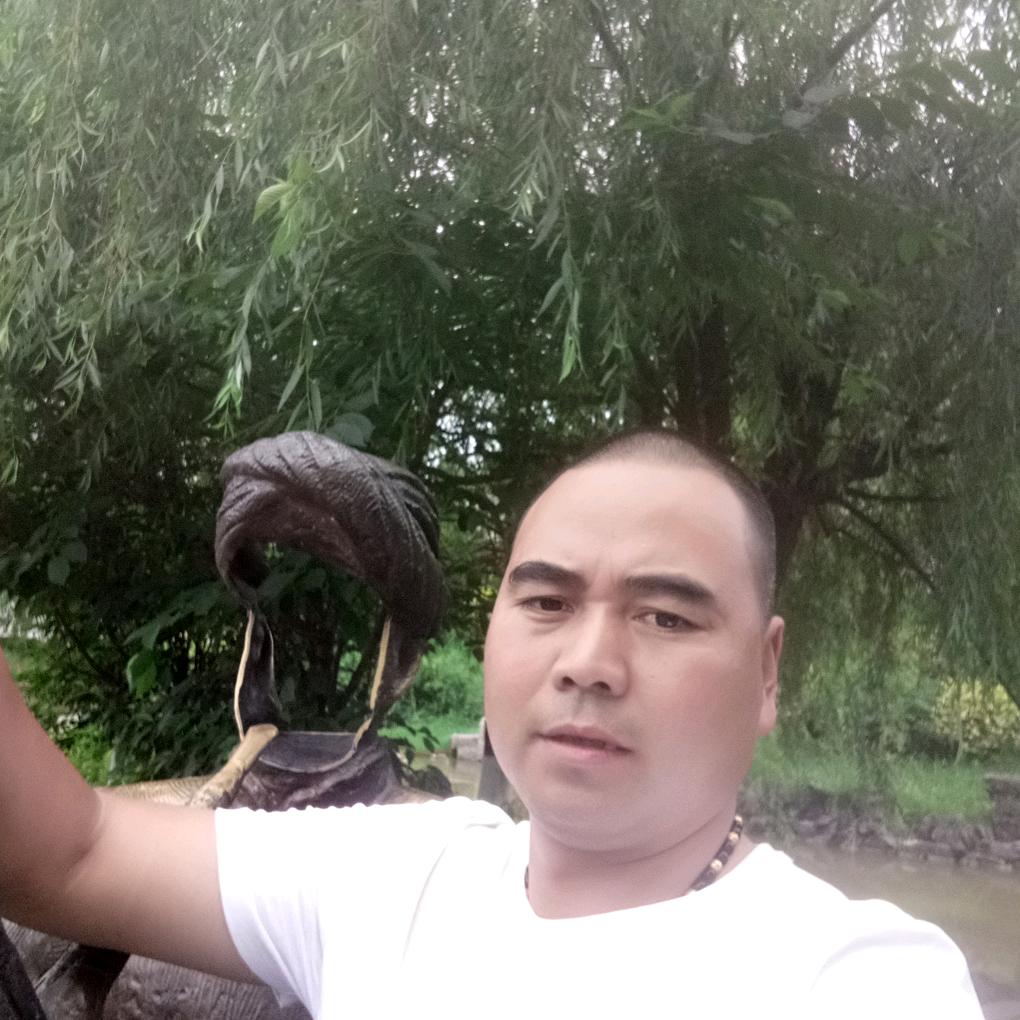 销售轮胎哥