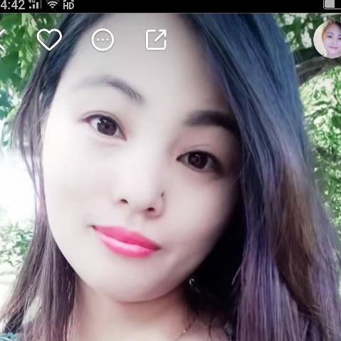 杨丹丹