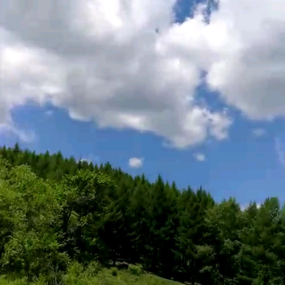 顺其自然