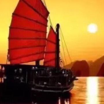 🌺🌼🌸冬天的太阳🌸🌼🌺