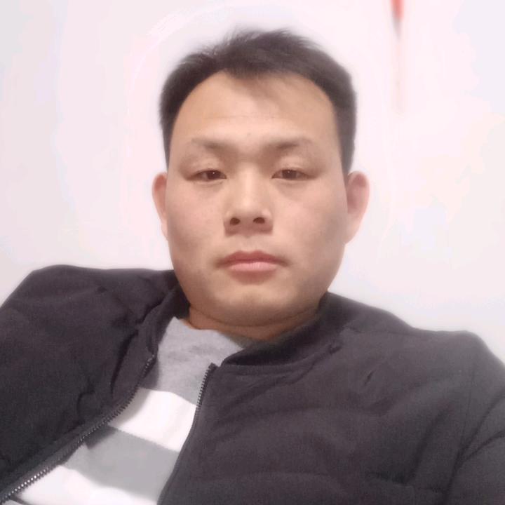 鹏飞