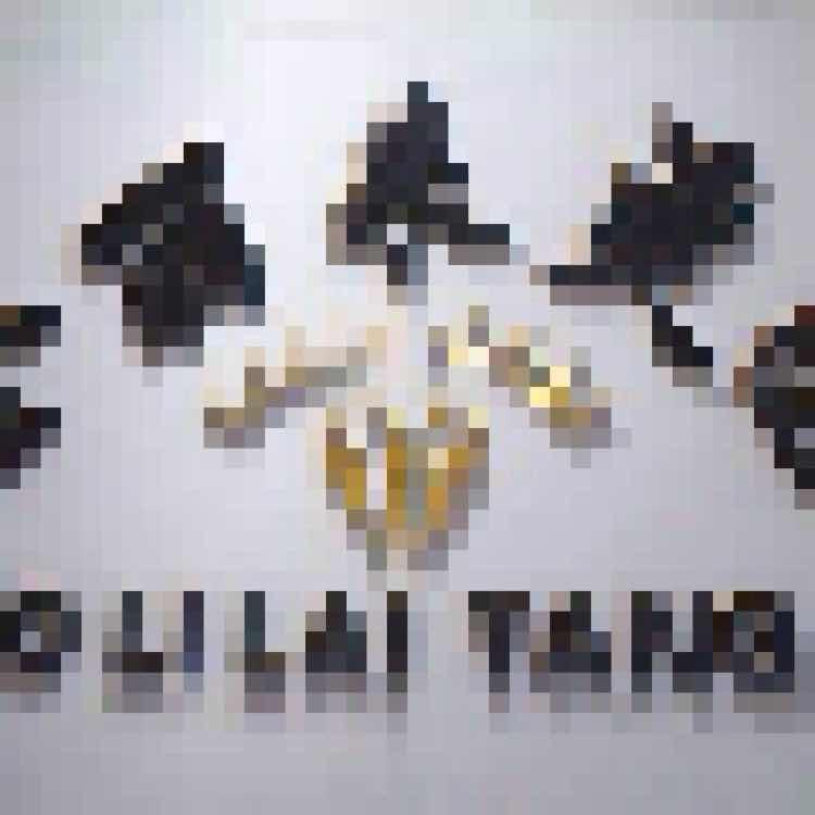 $&¥¥***金丽来***¥¥