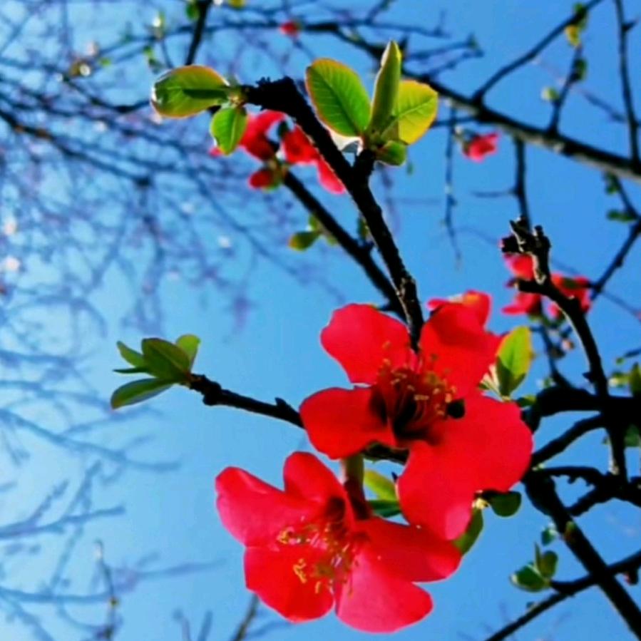 宛若晴空