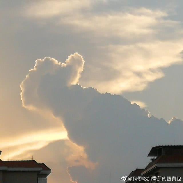 郑子杰