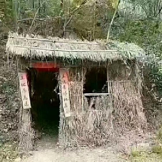 不看不听不想说