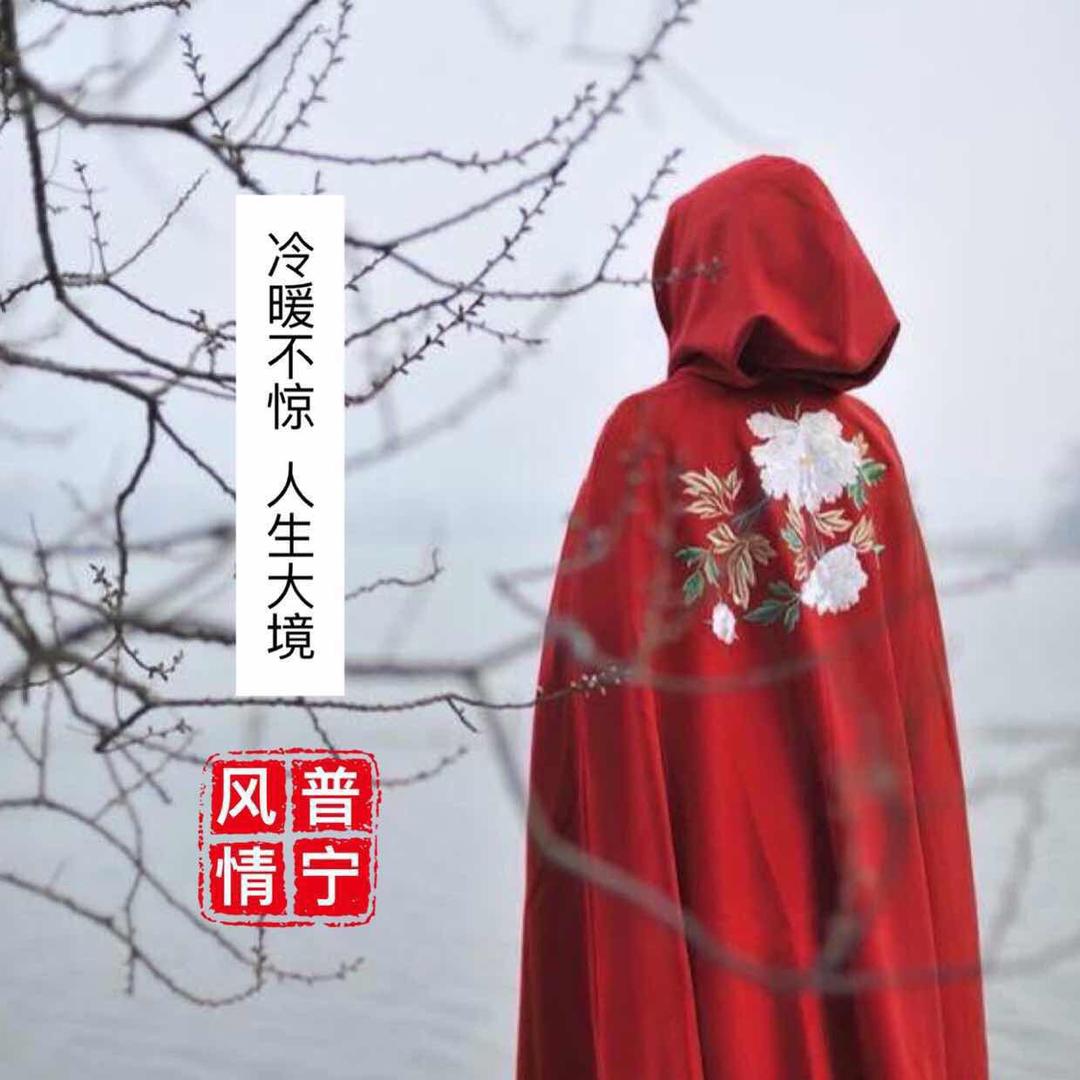 风情君