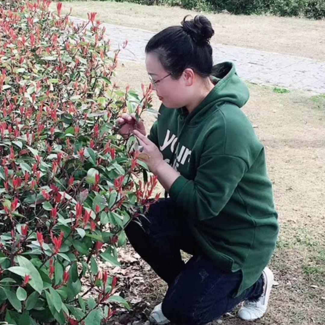 静若繁花