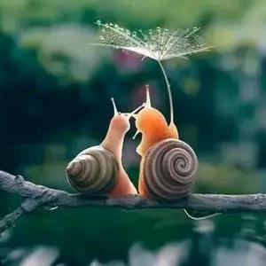 流星雨