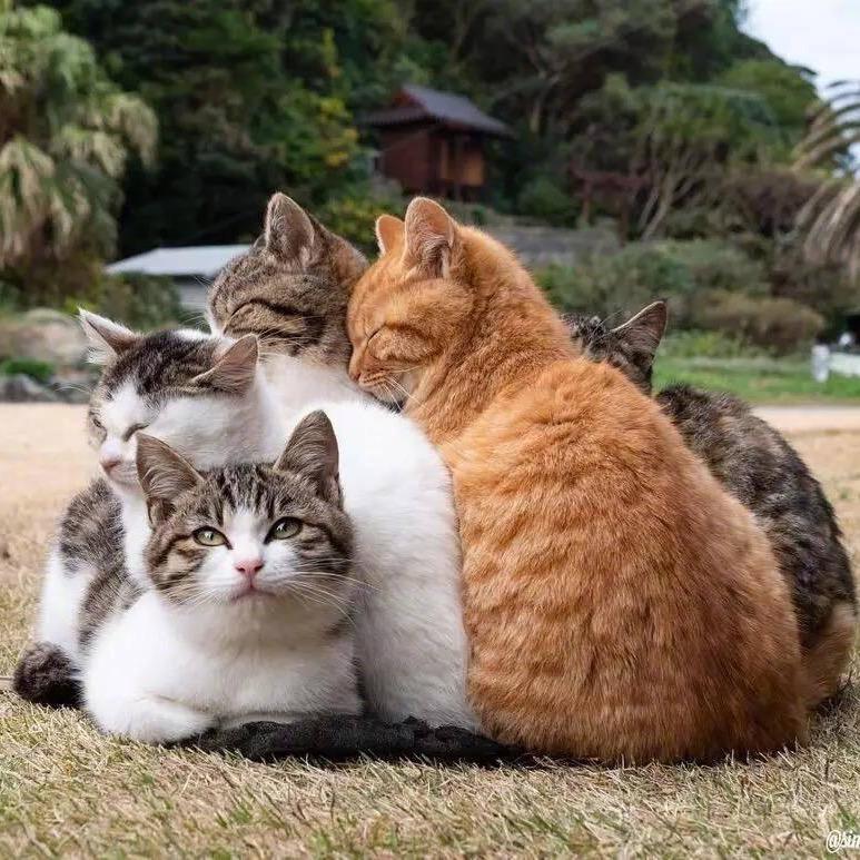 墨何