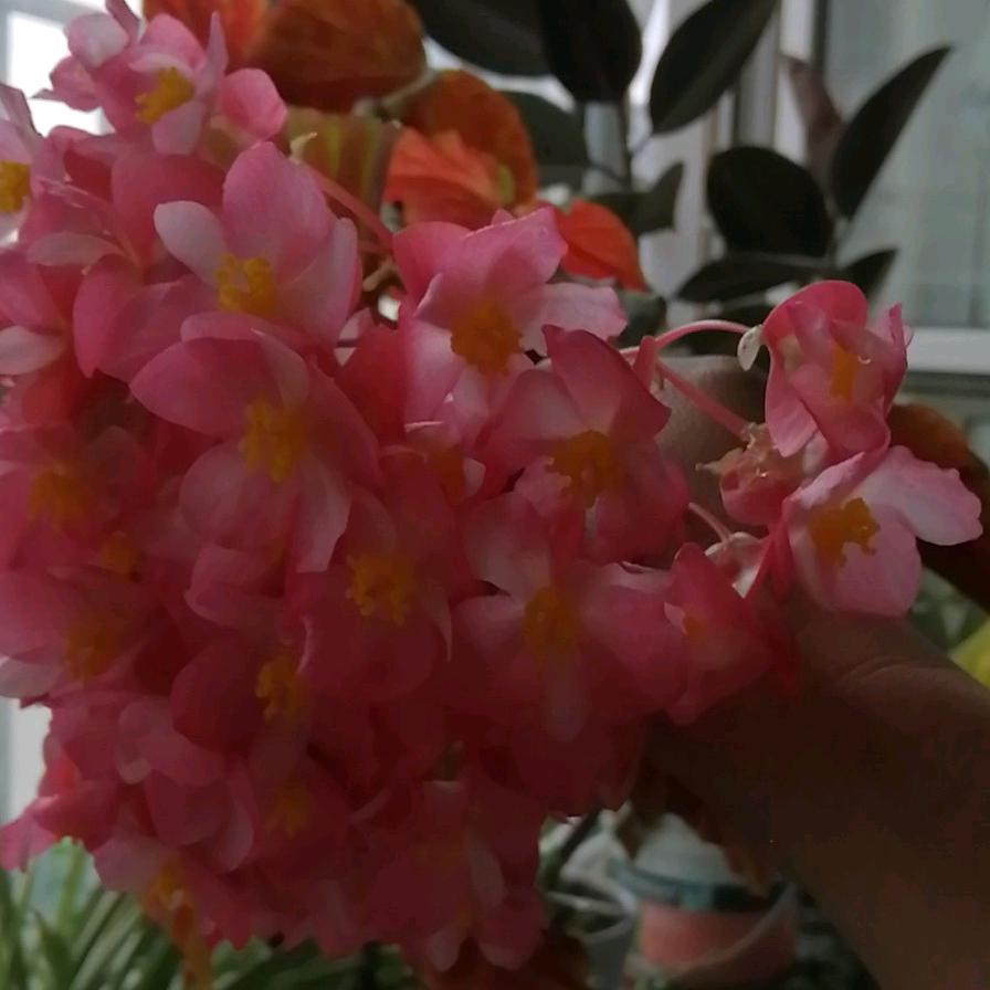 惜缘💞