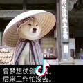 我叫朱宝堂