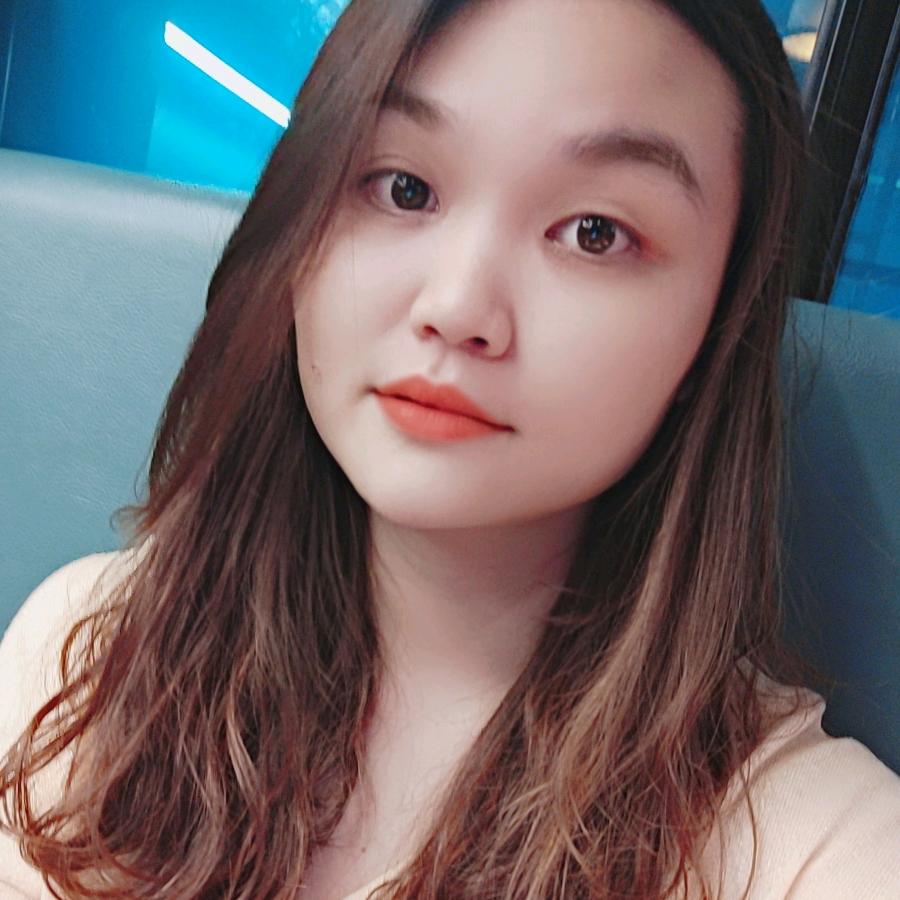 想飛的燕子