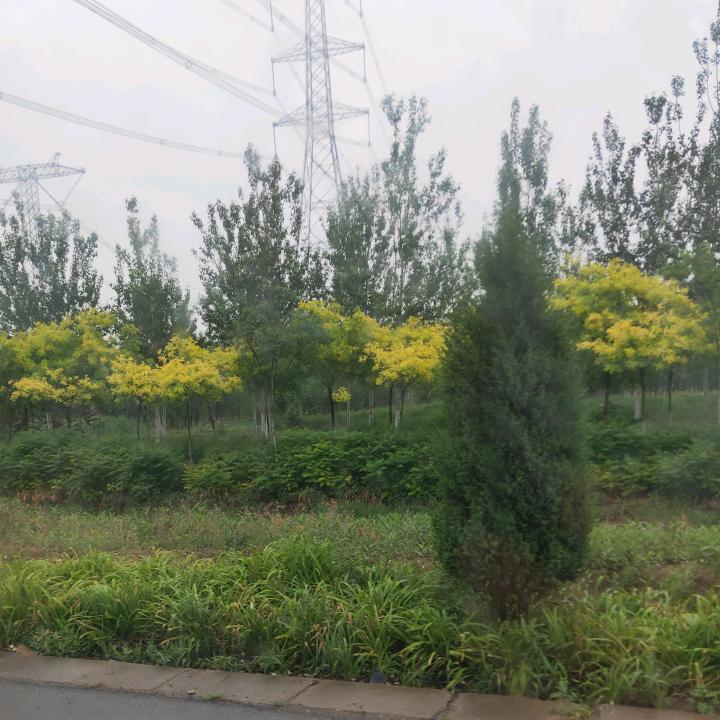 冰