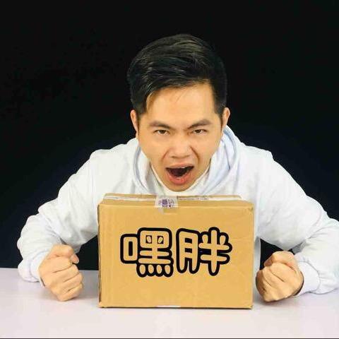 嘿了个胖