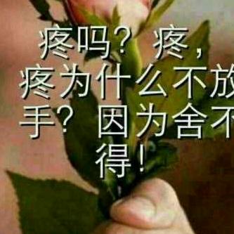 漂泊的心