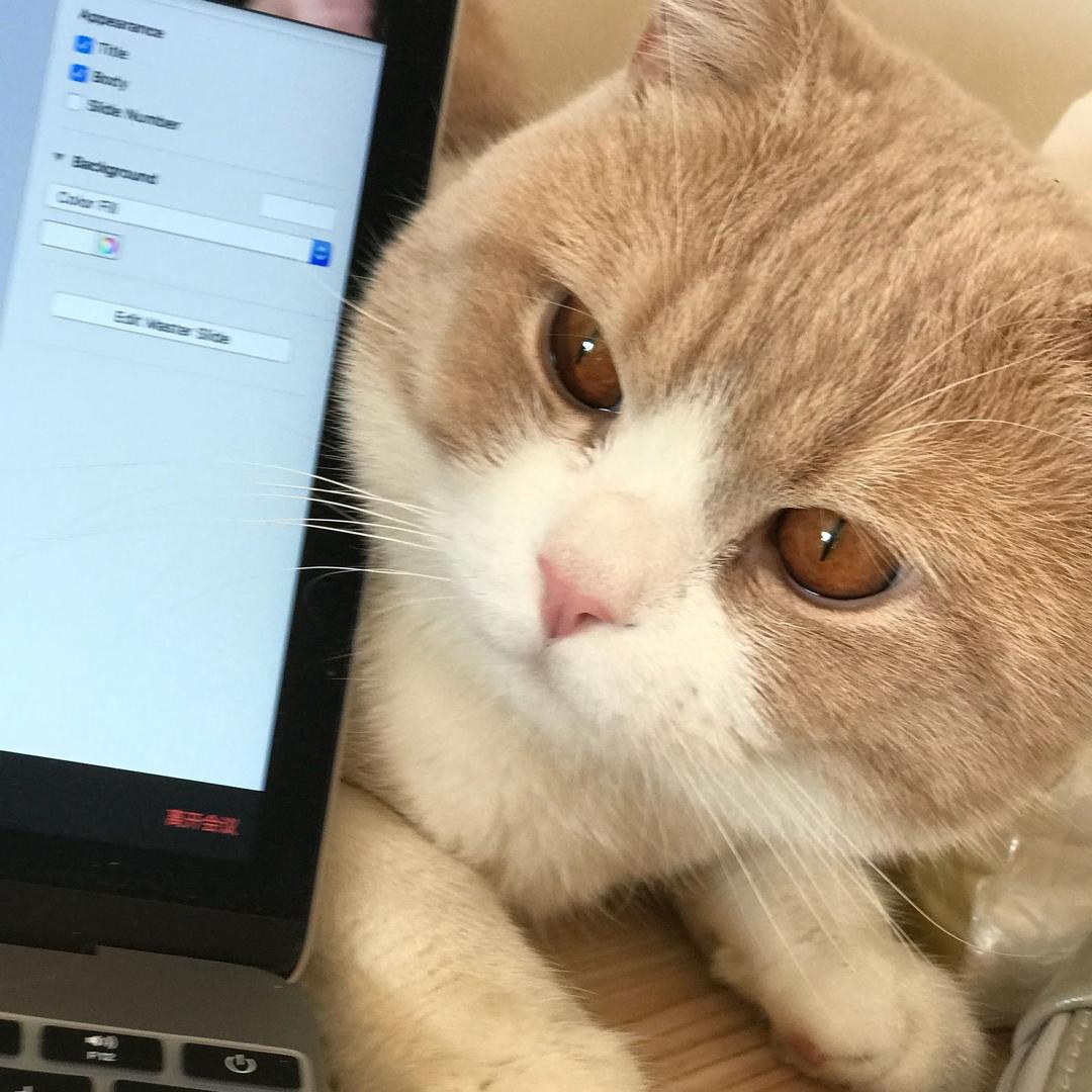 钱钱小鱼🐠