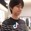 乔木向阳