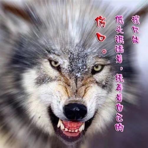 东子个叨车